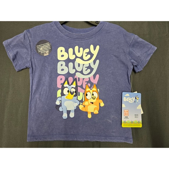 Bluey Other - Bluey Bingo Kids Graphic T-Shirt Purple Heather Short Sleeve Crew Neck NWT